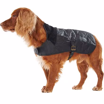 Quilted Dog Coat