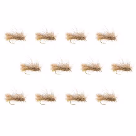 Corn-Fed Caddis 12-Pack