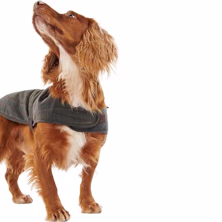 Tartan Wax Dog Coat