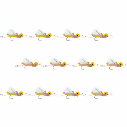 Thunder Thighs Hopper 12-Pack