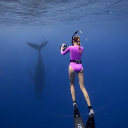 Harper Surf Suit - Women's