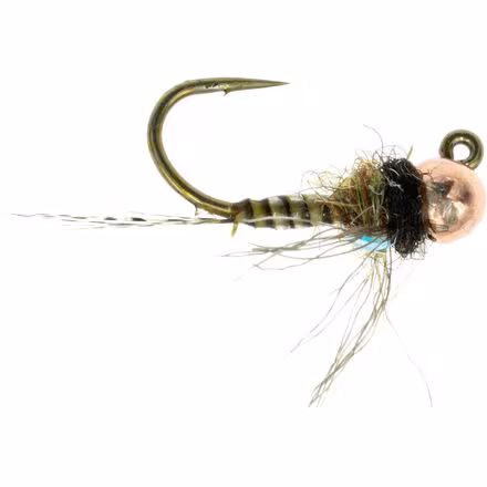 Jiggy Micro May TB 12-Pack