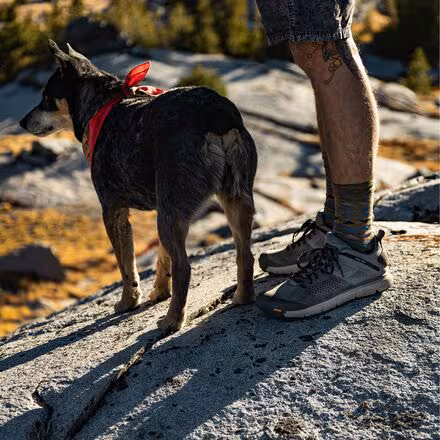 Trail 2650 Hiking Shoe - Men's