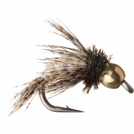 Anderson's Bird Of Prey - 12 Pack