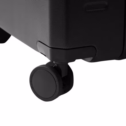 Ramverk Check-in Luggage