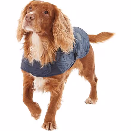 Quilted Dog Coat