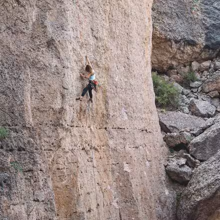 Dynama Jogger - Women's