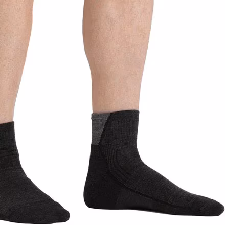 Hiker 1/4 Cushion Sock - Men's