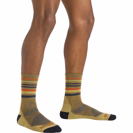 Fastpack Micro Crew Lightweight + Cushion Sock