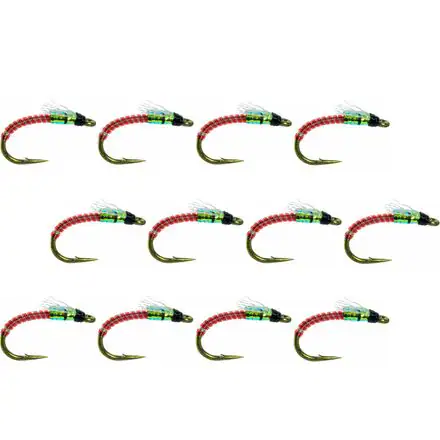 Jujubee Midge Flash 12-Pack