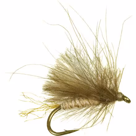 Corn-Fed Caddis 12-Pack