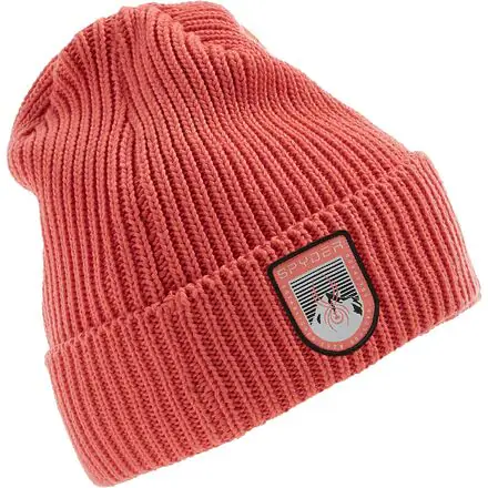 Link Beanie - Boys'