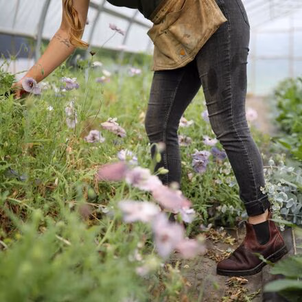 Classic 550 Chelsea Boot - Women's