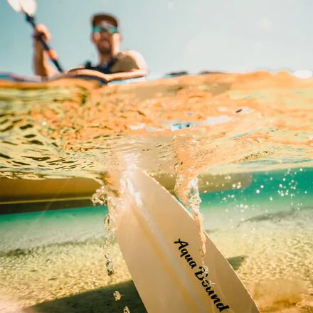 Sting Ray Hybrid 2-Piece Posi-Lok Paddle - Straight Shaft