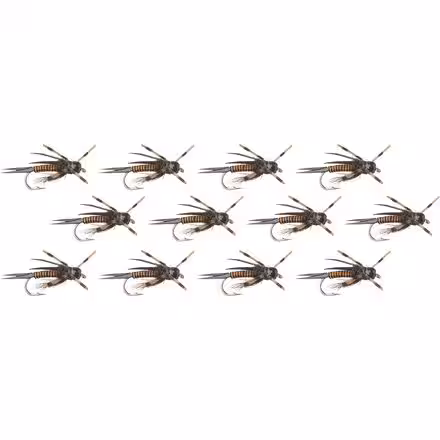 Montana Prince - 12-Pack