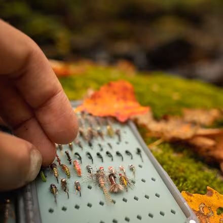 Tacky Daypack Fly Box