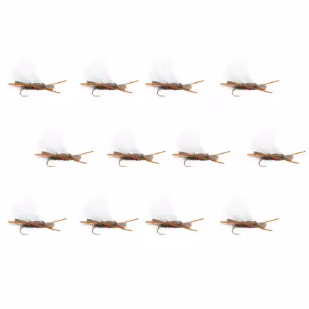 Chubby Chernobyl 12-Pack