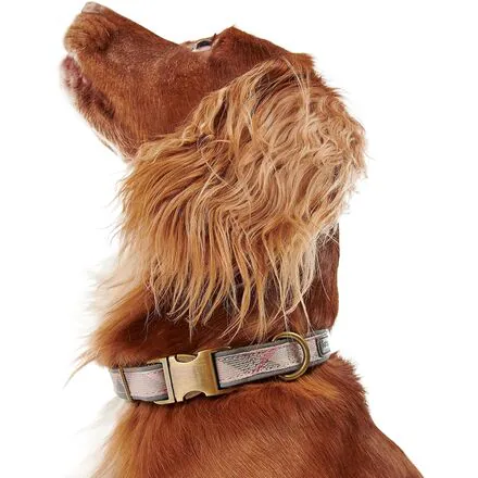Reflective Tartan Dog Collar
