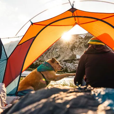 Wireless 6 Tent: 6 Person 3 Season