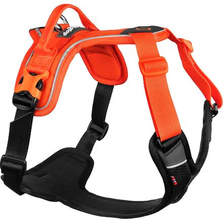 Ramble Harness