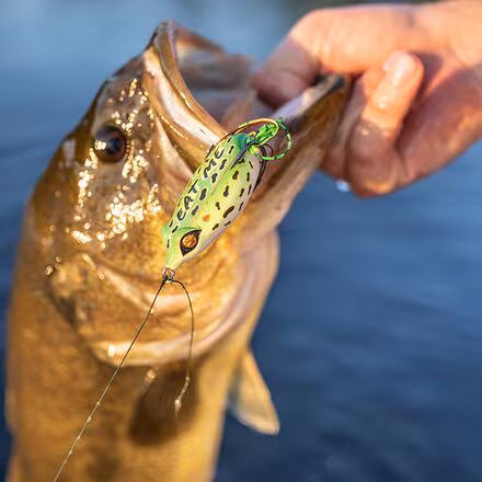 Filthy Frog Lure