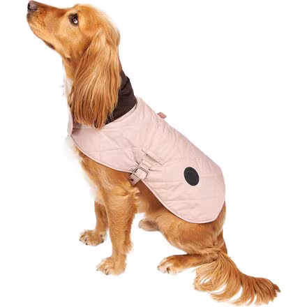 Quilted Dog Coat