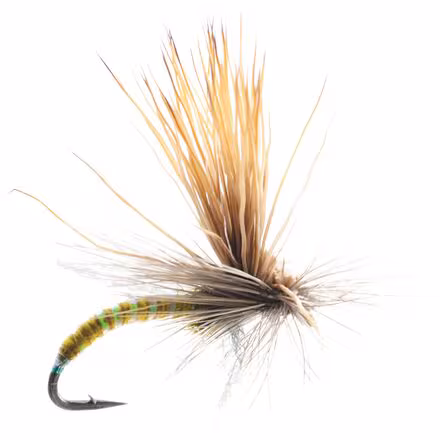 Missing Link 12-Pack