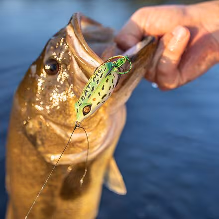 Filthy Frog Lure