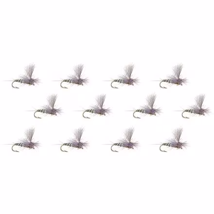 Para-Wulff - 12-Pack