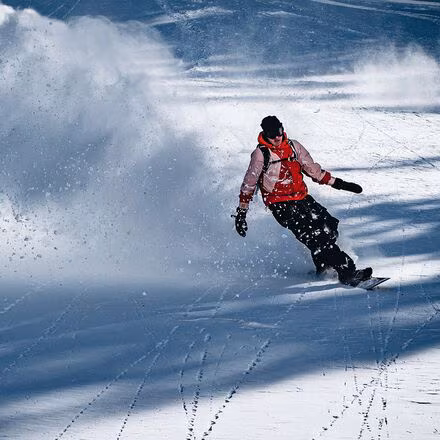 Deep Fake Snowboard - 2024