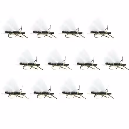 Chubby Chernobyl 12-Pack
