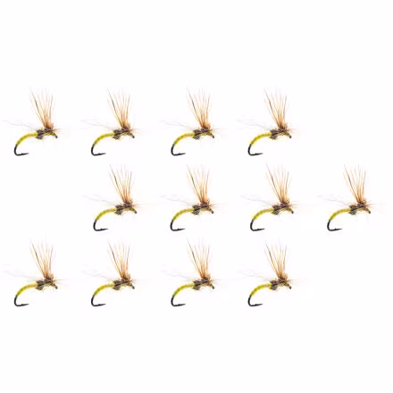 Missing Link 12-Pack