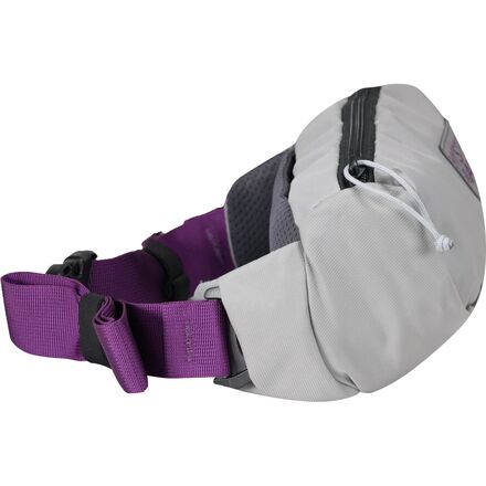 Forager 2.5L Hip Pack