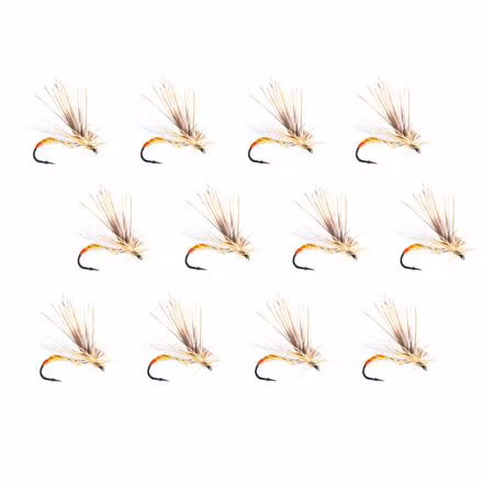 Missing Link 12-Pack