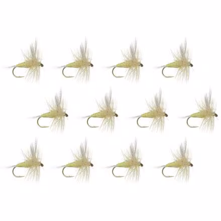 Traditional PMD - 12-Pack