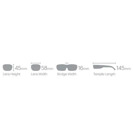 Embark ChromaPop Polarized Sunglasses
