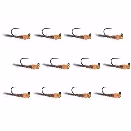 Frenchie Jig Egan's 12-Pack