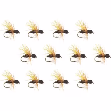 Black Flying Ant - 12-Pack