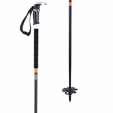 Scepter Ski Pole