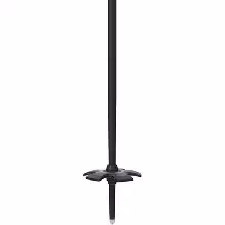 Vision Ski Pole