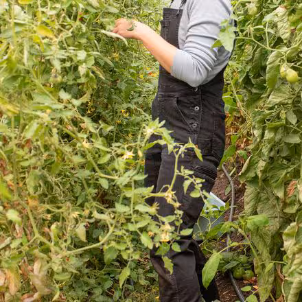 Freshley Overall - Women's