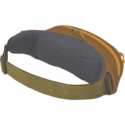 Daylite 2L Waist Pack