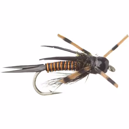 Montana Prince - 12-Pack