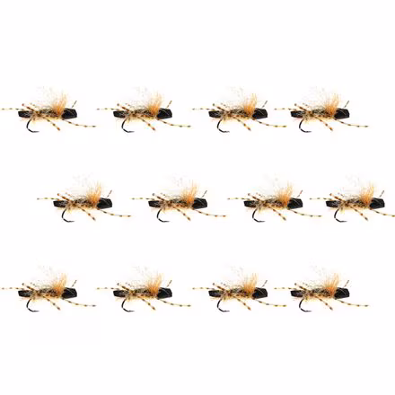 Stubby Chubby 12-Pack