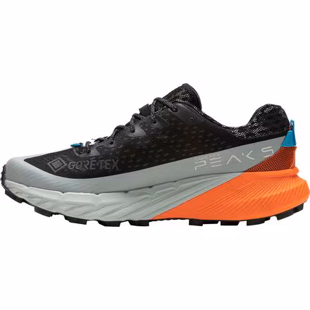 Agility Peak 5 GTX Shoe - Men's