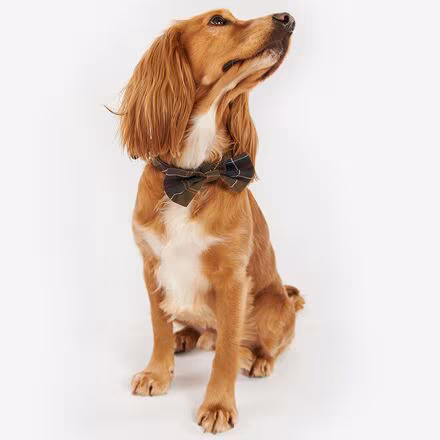 Tartan Dog Bow Tie