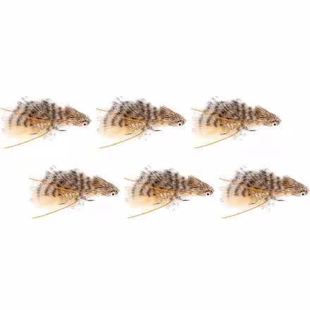 Galloup's Mini Dungeon - 6 Pack