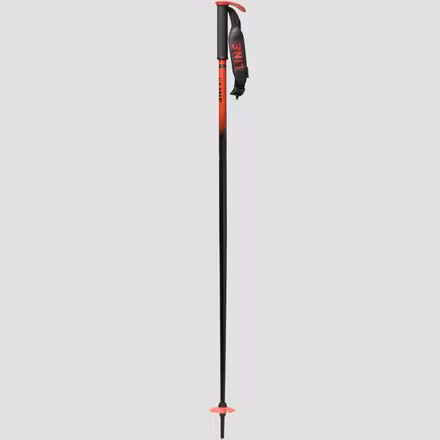 Pin Ski Poles