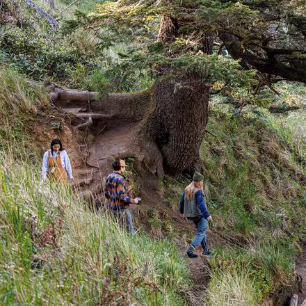 Jackson Ridge Bib - Women's