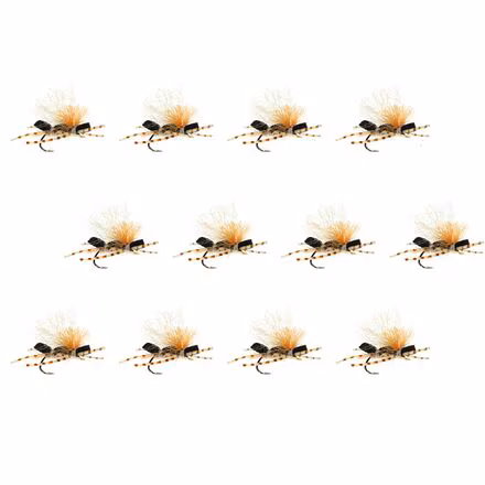 Stubby Chubby 12-Pack